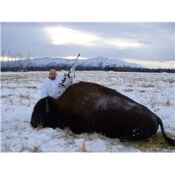 Alaskan Delta Bison Governor's Tag