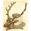 Image 1 : Victorian Elkhead Inkwell