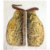 Image 1 : Seal Skin Chaps