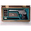 Image 1 : Case Remington Vest Pocket Derringer