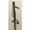 Image 1 : Tooled Bridle
