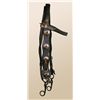 Image 1 : Miles City Bridle