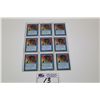 Image 1 : LOT OF 9 FORCE OF WILL MTG CARDS IN HIGH GRADE