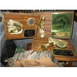 Tub Full Of Fishing Plaques and Trophies.