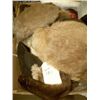 Image 1 : Misc. Lot of fur Caps