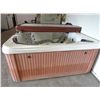 Image 1 : Four Winds 5-Person Hot Tub w/Cover (Nice Condition)