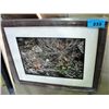 Image 1 : Framed LEP by Alan Hunt