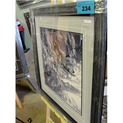 Framed Print by Colin Bogle