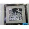 Image 1 : Framed Print by Robert Bateman