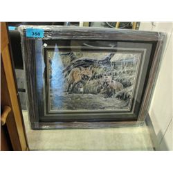 Framed limited edition signed and numered wolf