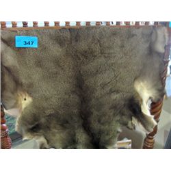 Deer skin hide