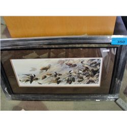 Framed LEP by Joe Garcia