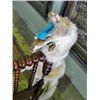 Image 1 : Coyote hide