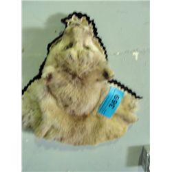 Professionally taxidermied bobcat head mount