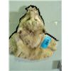 Image 1 : Professionally taxidermied bobcat head mount