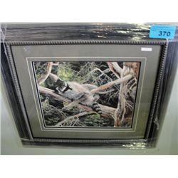 Framed LEP by Andrew Kiss