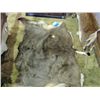 Image 1 : Deer hide
