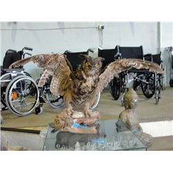 Professionally taxidermied owl mount