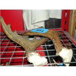 Small moose antler set