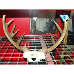 Deer antler set