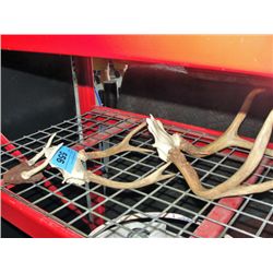 3 small deer antler sets