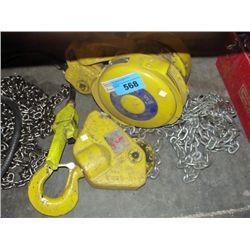 Wright 5T chain hoist