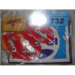 Aluminum extention ladder