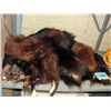 Image 1 : Shelf lot of assorted animal furs