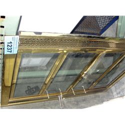 Brass and glass fireplace cover