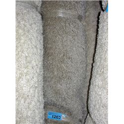 Large off white shag area rug