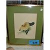 Image 1 : Framed fox print