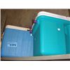 Image 1 : 2 picnic coolers