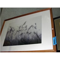 Framed black and white print