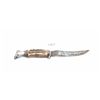Image 1 : Bone handled hunting knife