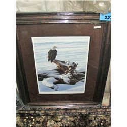 Framed LEP by Alan Hunt