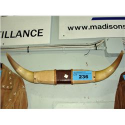 Wall mount bull horn set
