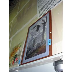 Framed daniel smith print - bald eagle