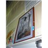 Image 1 : Framed daniel smith print - bald eagle