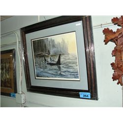 Framed LEP by Bill Maximick