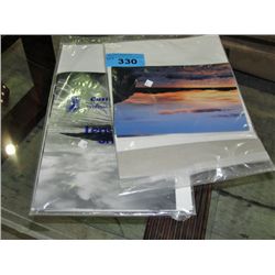 2 bags of professional photographers photos