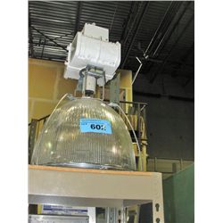Industrial overhead shop light