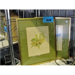 2 framed wildlife prints; fox and a butterfly