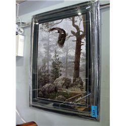 Framed Print By Daniel Smith