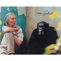 Jane Goodall