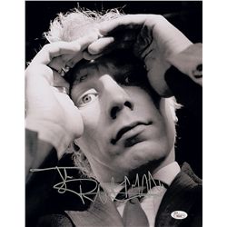 Sex Pistols: Johnny Rotten