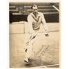 Image 1 : Bill Tilden