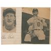 Image 1 : Goose Goslin