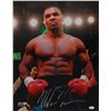 Image 1 : Mike Tyson