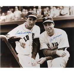 Ted Williams and Joe DiMaggio