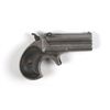 Image 2 : Remington Double Derringer